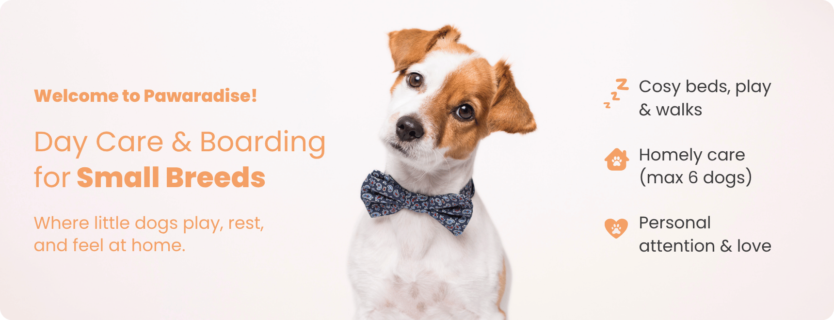 Pawaradise — Day Care & Boarding for Small Dogs Only