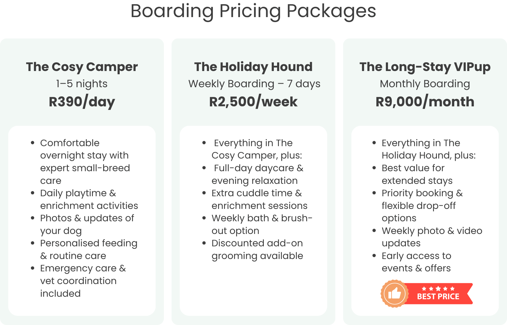 Pawaradise — Day Care & Boarding for Small Dogs Only