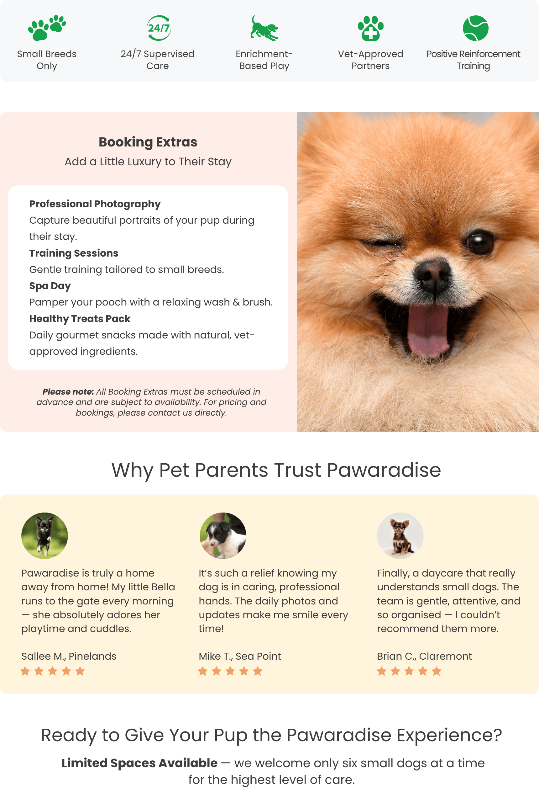 Pawaradise — Day Care & Boarding for Small Dogs Only